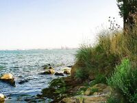 Крайморие и мыс Форос: улитки рапан, сети и ожидание осенней рыбы у слива Мандры