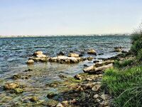 Крайморие и мыс Форос: улитки рапан, сети и ожидание осенней рыбы у слива Мандры