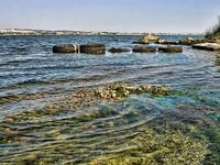 Крайморие и мыс Форос: улитки рапан, сети и ожидание осенней рыбы у слива Мандры