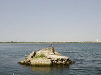 Крайморие и мыс Форос: улитки рапан, сети и ожидание осенней рыбы у слива Мандры