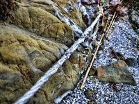 Крайморие и мыс Форос: улитки рапан, сети и ожидание осенней рыбы у слива Мандры