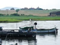 Крайморие и мыс Форос: улитки рапан, сети и ожидание осенней рыбы у слива Мандры