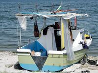 Крайморие и мыс Форос: улитки рапан, сети и ожидание осенней рыбы у слива Мандры