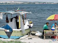 Крайморие и мыс Форос: улитки рапан, сети и ожидание осенней рыбы у слива Мандры