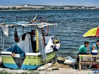 Крайморие и мыс Форос: улитки рапан, сети и ожидание осенней рыбы у слива Мандры