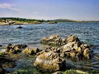 Крайморие и мыс Форос: улитки рапан, сети и ожидание осенней рыбы у слива Мандры