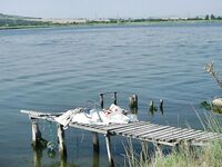 Крайморие и мыс Форос: улитки рапан, сети и ожидание осенней рыбы у слива Мандры