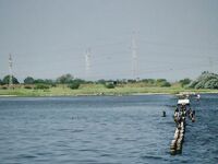 Крайморие и мыс Форос: улитки рапан, сети и ожидание осенней рыбы у слива Мандры