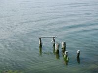 Крайморие и мыс Форос: улитки рапан, сети и ожидание осенней рыбы у слива Мандры