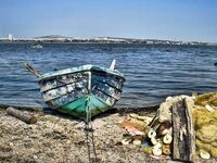 Крайморие и мыс Форос: улитки рапан, сети и ожидание осенней рыбы у слива Мандры