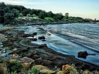 Сарафово на закате: краткая заметка о погоде и свете без отчётных деталей