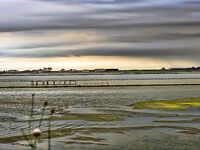 Солниците под Бургасом: нереис из солёной грязи живее магазинного, клев выше