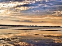 Солниците под Бургасом: нереис из солёной грязи живее магазинного, клев выше