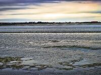 Солниците под Бургасом: нереис из солёной грязи живее магазинного, клев выше