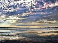 Солниците под Бургасом: нереис из солёной грязи живее магазинного, клев выше