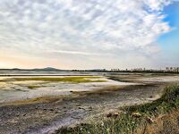 Солниците под Бургасом: нереис из солёной грязи живее магазинного, клев выше