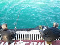 Геленджикская бухта — длинный пирс, прогулки и выход «Лиры», тёплые дни и утренняя изморозь