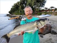 Средиземноморье — мой короткий конспект по сезонам и точкам для береговой рыбалки