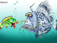 Морские крючки и «растворение»: ленятся доставать, рыба часто погибает — мой взгляд