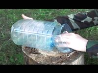 Насадка и прикормка: ловля креветок и мелких крабиков в бутыли с воронкой и камнем