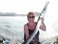 Сарган помельче английского: найдено «кое-что», картинка становится яснее