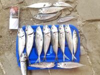 Крым, Судак — ещё одна вечерняя отметка по рокфишингу