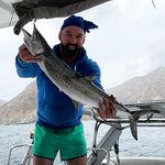 Мексика, Нижняя Калифорния: 1800 км дороги и неделя в Калифорнийском заливе