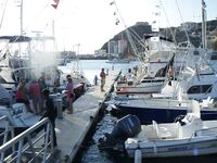 Big Game Fishing Кабо-Верде: пролив Сао Висенте — Сао Антао, пики апрель—июль