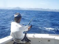 Big Game Fishing Кабо-Верде: пролив Сао Висенте — Сао Антао, пики апрель—июль