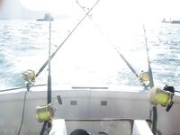 Big Game Fishing Кабо-Верде: пролив Сао Висенте — Сао Антао, пики апрель—июль