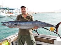 01.07.2009: ветрено, сход марлина и редкий достойный ваху 20 кг за день