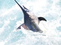 07.04.2010: 3 из 4 атак, плюс два наблюдения и сход на 750 lb — погода шепчет