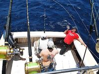 28.04.2010: два «синих», один ушёл на 750 lb — леска лопнула на 300 м