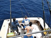 29.04.2010: юго-запад Сао Висенте, зрелищный бой 350 lb и череда пустых догонов