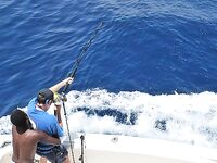 30.04–01.05.2010: 11 атак, три марлина до 300 кг и дроп-бэк на 400 lb стэнд ап