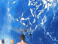 30.04–01.05.2010: 11 атак, три марлина до 300 кг и дроп-бэк на 400 lb стэнд ап