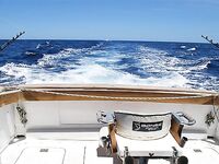 «Не наш день»: видели 250-фунтового марлина, но он ушёл — море тихое, солнце