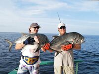 От Мальдив к Кабо-Верде: поппер, джиг, парусники 35 и 50 кг — опыт недели