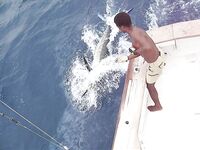 Сант-Антау, Монте де Тригу: банка «Норест» — заметки по точке и дате