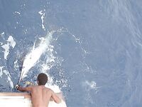 Сант-Антау, Монте де Тригу: банка «Норест» — заметки по точке и дате