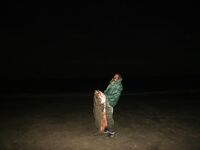 Сан-Висенте, пляж Кальете Гранде: морская рыбалка и кубера снаппер 44,9 кг