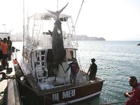 Кабо-Верде, 03.03.2013 — север Сан-Николау: «DI MEU», капитан Калу, марлин 334 кг