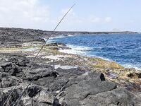 Кабо-Верде: утренний выезд с гидом, саргановый разнос и проверки по GT