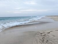 Кабо-Верде: утренний выезд с гидом, саргановый разнос и проверки по GT