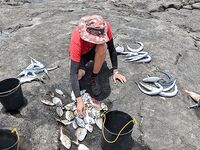 Кабо-Верде: утренний выезд с гидом, саргановый разнос и проверки по GT