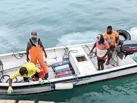 Кабо-Верде: утренний выезд с гидом, саргановый разнос и проверки по GT