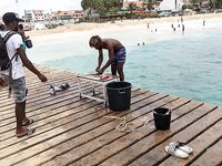 Кабо-Верде: утренний выезд с гидом, саргановый разнос и проверки по GT