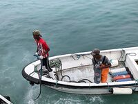 Кабо-Верде: утренний выезд с гидом, саргановый разнос и проверки по GT