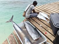Кабо-Верде: утренний выезд с гидом, саргановый разнос и проверки по GT