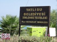 Татлису, Северный Кипр — бунгало у берега и команда Team Kilincli, разведаю в сезоне